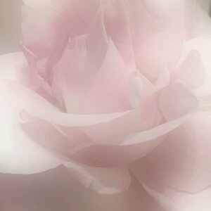 IMG_7155.jpeg