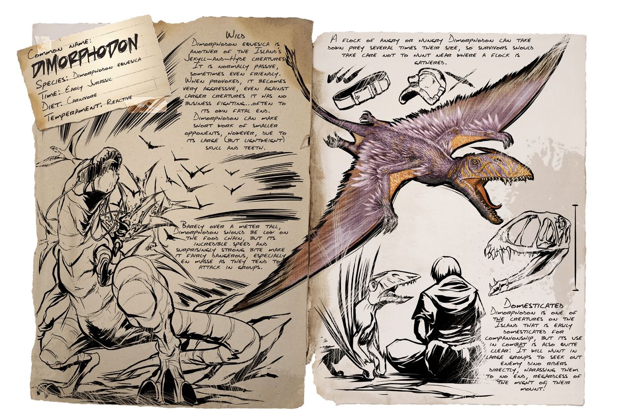 1280px-Dossier_Dimorphodon.png